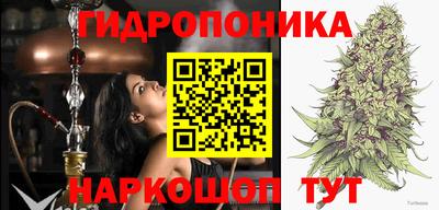 каннабис Малгобек