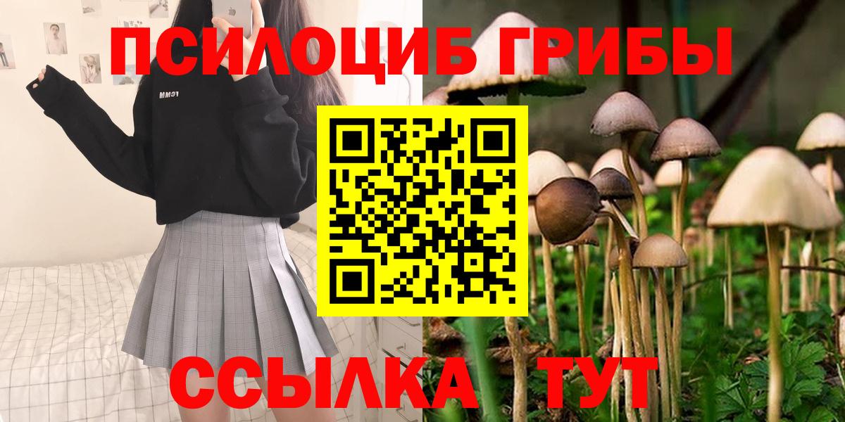 хочу наркоту  Галлюциногенные грибы MAGIC MUSHROOMS  Вход с VPN  Галлюциногенные грибы Psilocybine cubensis  Дагестанские Огни 